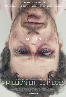 A Million Little Pieces FRENCH WEBRIP 720p 2020