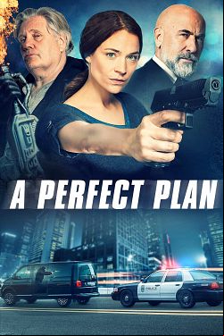 A Perfect Plan FRENCH WEBRIP 720p 2022