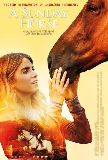 A Sunday Horse FRENCH DVDRIP x264 2016