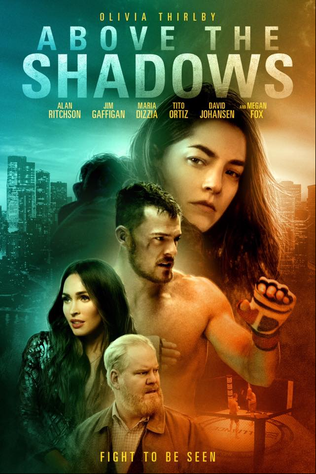 Above the Shadows FRENCH WEBRIP LD 1080p 2021