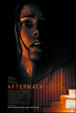 Aftermath FRENCH WEBRIP 720p 2021