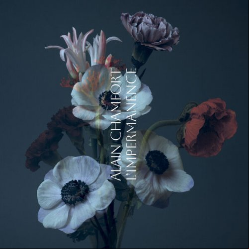 Alain Chamfort - L'impermanence Aucun MP3 2024