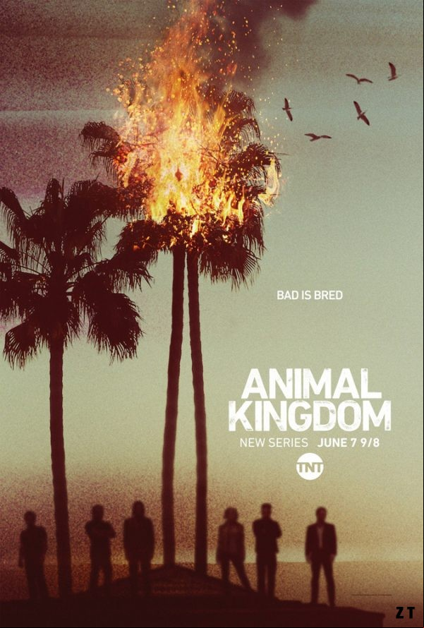 Animal Kingdom S02E12 FRENCH HDTV