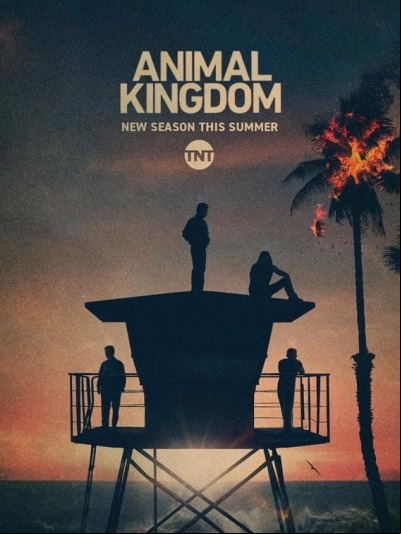 Animal Kingdom S05E05 FRENCH HDTV