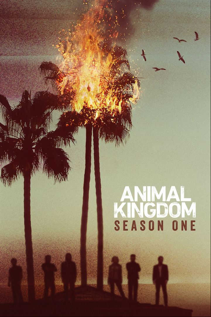 Animal Kingdom Saison 1 FRENCH HDTV