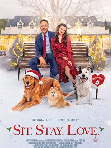 Avec toi pour Noël FRENCH WEBRIP 720p 2022