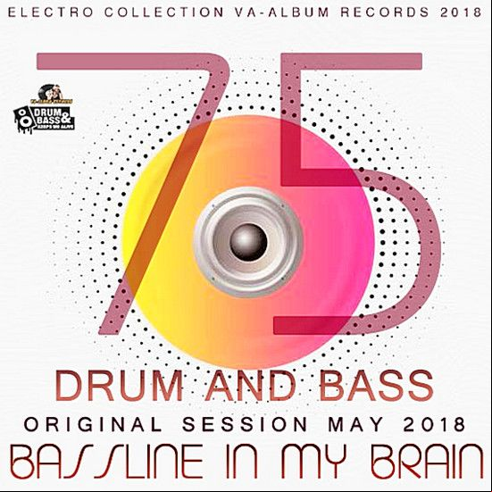 Bassline In My Brain 2018
