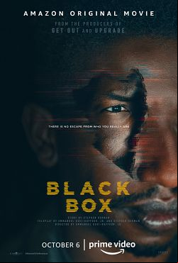 Black Box FRENCH WEBRIP 1080p 2020