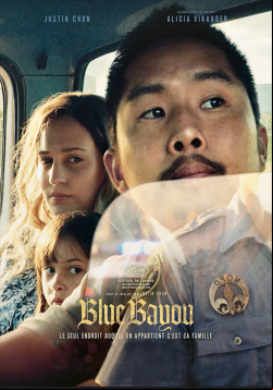Blue Bayou TRUEFRENCH DVDRIP 2022
