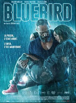 Bluebird FRENCH DVDRIP 2020