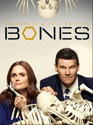 Bones S11E17 VOSTFR HDTV