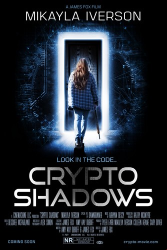 Crypto Shadows FRENCH WEBRIP LD 1080p 2024
