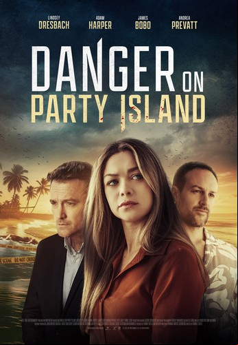 Danger sur Party Island FRENCH WEBRIP LD 1080p 2024