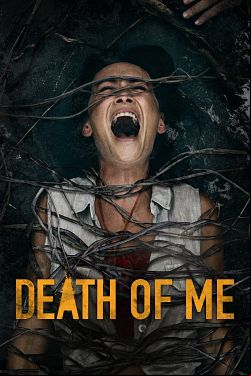 Death of Me FRENCH WEBRIP 720p 2022
