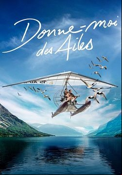 Donne-moi des ailes FRENCH BluRay 720p 2020