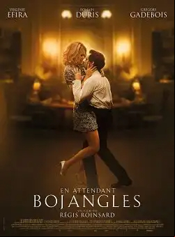 En Attendant Bojangles FRENCH DVDRIP x264 2022