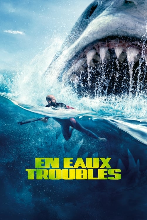 En eaux troubles MULTI FULL BLURAY 3D 2018