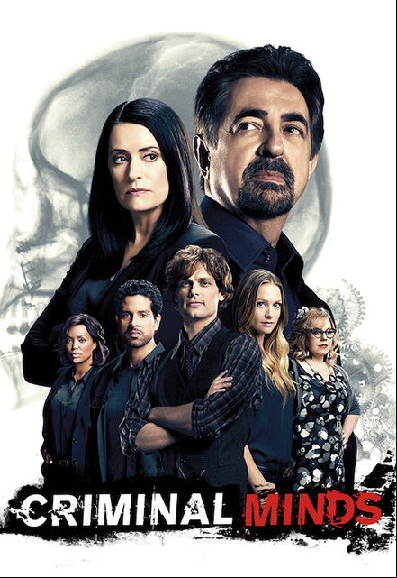 Esprits criminels (Criminal Minds) S13E14 VOSTFR