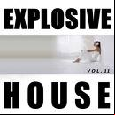 Explosive House 2010