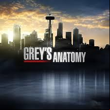 Grey's Anatomy S11E19 VOSTFR HDTV