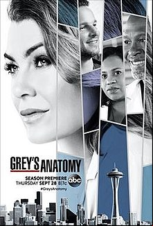Grey's Anatomy S14E06 FRENCH HDTV