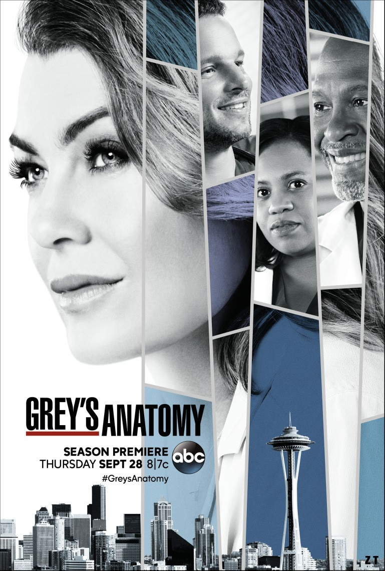 Grey's Anatomy S14E07 VOSTFR HDTV