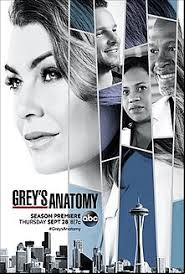 Grey's Anatomy S14E17 VOSTFR HDTV
