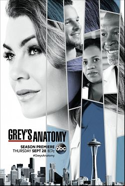 Grey's Anatomy S15E01 FRENCH HDTV