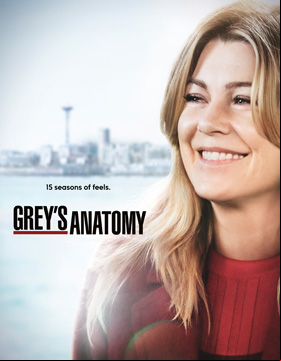 Grey's Anatomy Saison 15 FRENCH HDTV