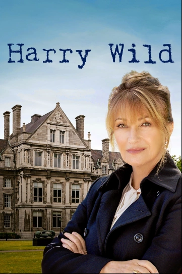 Harry Wild FRENCH S02E04 HDTV 2023