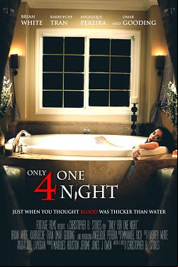 Juste pour une nuit FRENCH WEBRIP 720p 2022