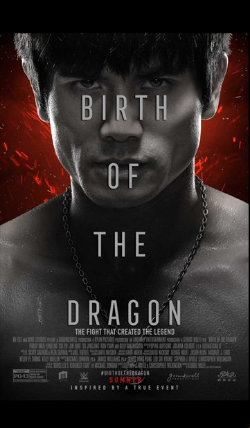 La Naissance du dragon FRENCH BluRay 720p 2018