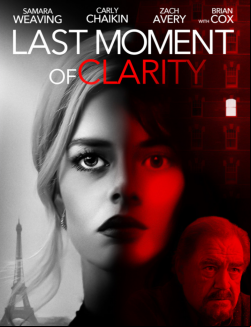 Last Moment of Clarity FRENCH WEBRIP 720p 2020