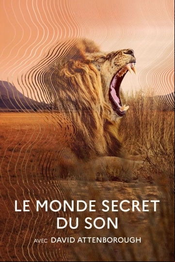 Le monde secret du son avec David Attenborough VOSTFR S01E03 HDTV 2024