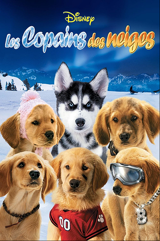 Les Copains des neiges FRENCH DVDRIP x264 2008