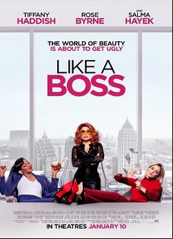 Like a Boss VOSTFR WEBRIP x264 2020