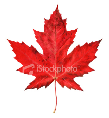 Maplesoft Maple v 12 0 with license