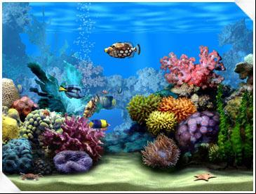 Marine Aquarium 3.0 Final
