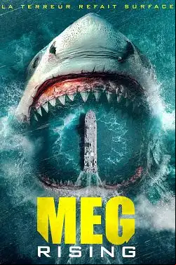 Meg Rising FRENCH DVDRIP x264 2022
