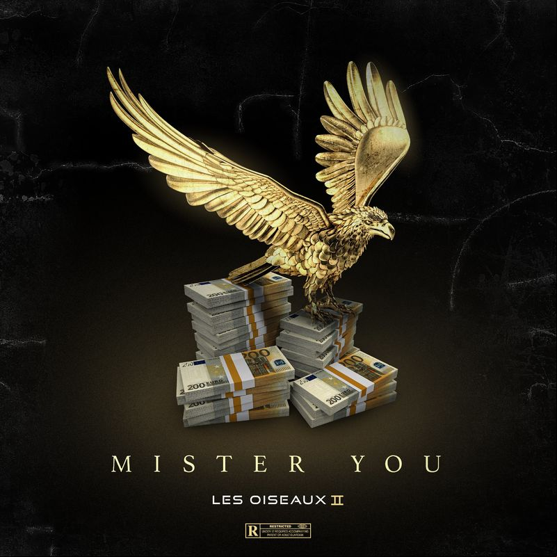 Mister you - Les oiseaux II 2021