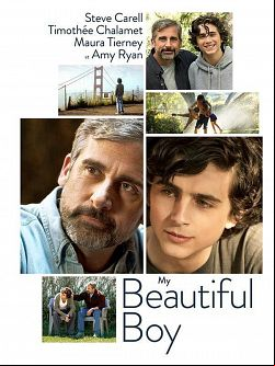 My Beautiful Boy TRUEFRENCH DVDRIP 2019