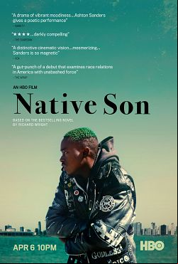 Native Son FRENCH WEBRIP 2019