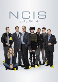 NCIS S14E10 VOSTFR HDTV