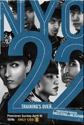 NYC 22 S01E03 VOSTFR HDTV