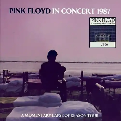 PINK FLOYD - In Concert 1987. A Momentary Lapse Of Reason Tour 2021