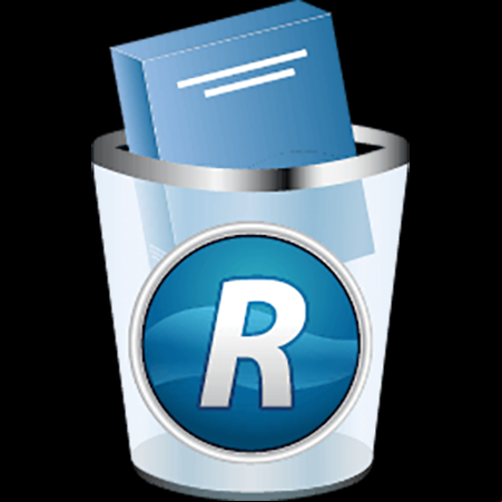 Revo Uninstaller Pro 4.5.3 Portable