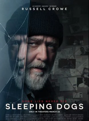Sleeping Dogs FRENCH WEBRIP LD 720p 2024