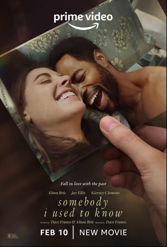 Somebody I Used to Know FRENCH WEBRIP 1080p 2023
