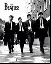 The Beatles Discography 1958-2003 38 CD