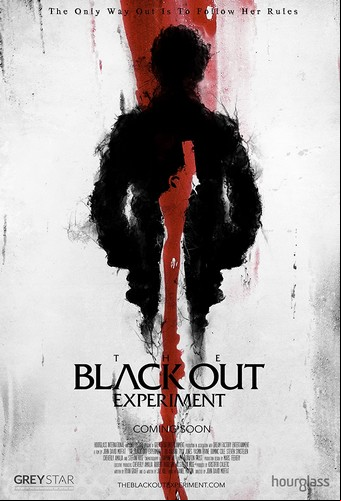 The Blackout Experiment FRENCH WEBRIP LD 720p 2021